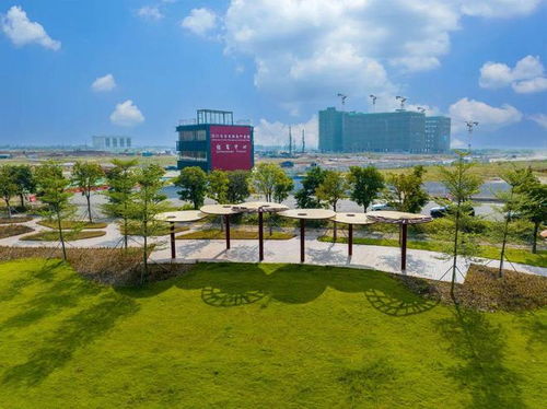 突出特色錯(cuò)位發(fā)展 江海區(qū)構(gòu)建 外海制造 禮樂(lè) 農(nóng)業(yè) 工業(yè) 雙擎驅(qū)動(dòng) 江南 總部 商貿(mào) 發(fā)展格局