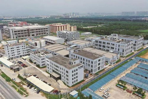 立足灣區(qū) 攜手歐洲 走向世界 江門塑造國際經(jīng)貿(mào)合作新優(yōu)勢(shì)